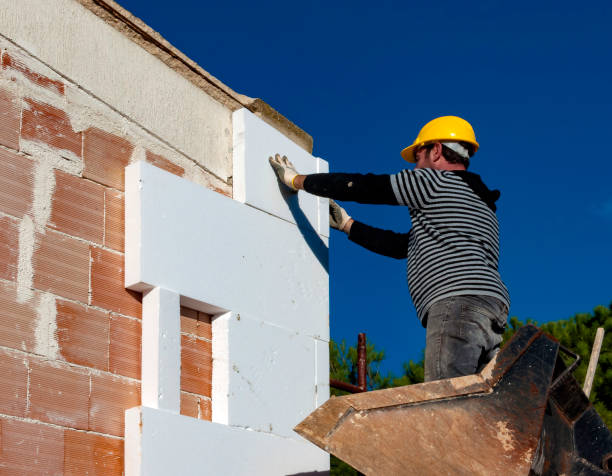 Best Cellulose Insulation in Catalina, AZ