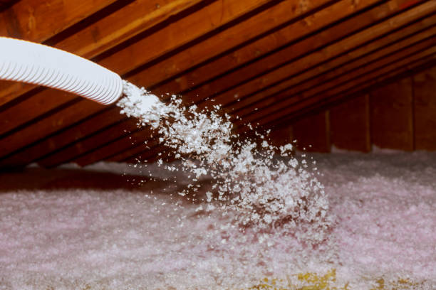 Best Commercial Insulation in Catalina, AZ