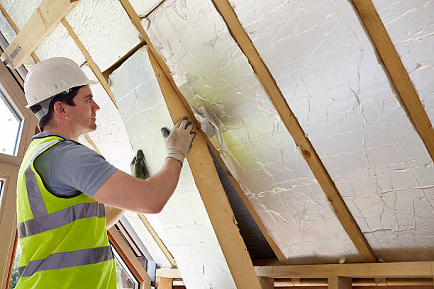 Best Residential Insulation in Catalina, AZ